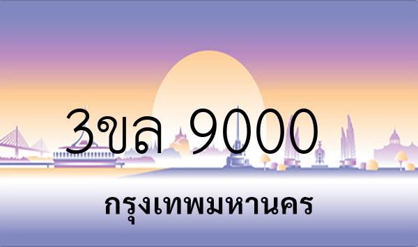 3ขล 9000